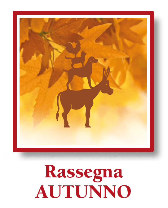 Autunno menu stagione